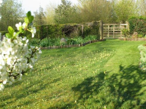 Neat paths through the long grass